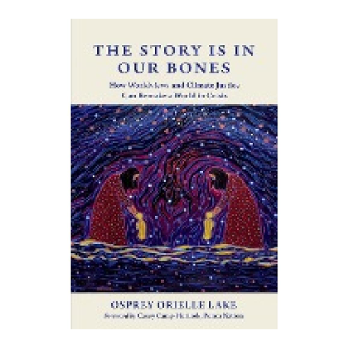 Bild von The Story is in Our Bones: Ein Buch zur Klimagerechtigkeit und Weltanschauung