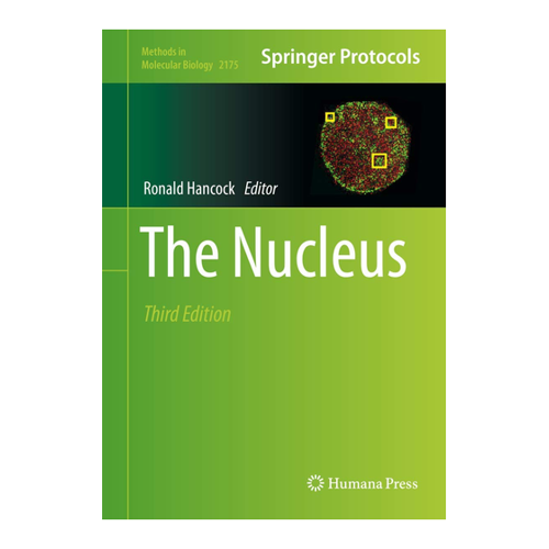 Bild von The Nucleus: Eine umfassende Anleitung zur Zellkernforschung