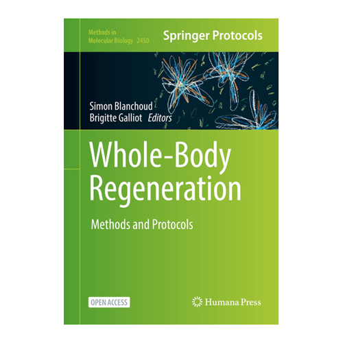 Bild von Whole-Body Regeneration: Methoden und Protokolle