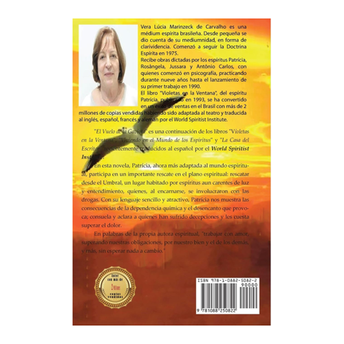 Bild von El Vuelo de la Gaviota von Vera Lúcia Marinzeck de Carvalho