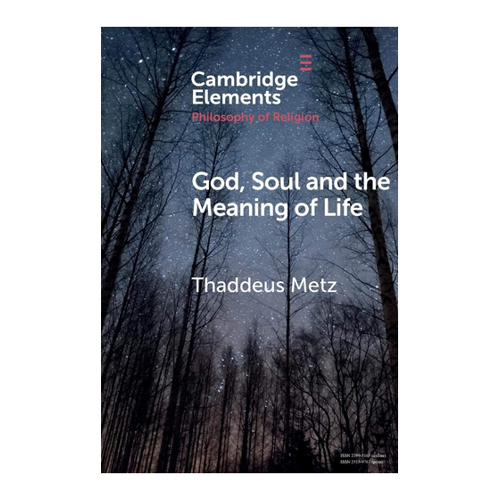 Bild von God, Soul and the Meaning of Life - Metz, Thaddeus