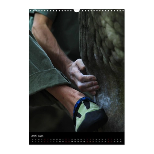 Bild von Clouzeau, Grégoire: Calendrier du Bleausard 2025 – Hochwertiger Wandkalender
