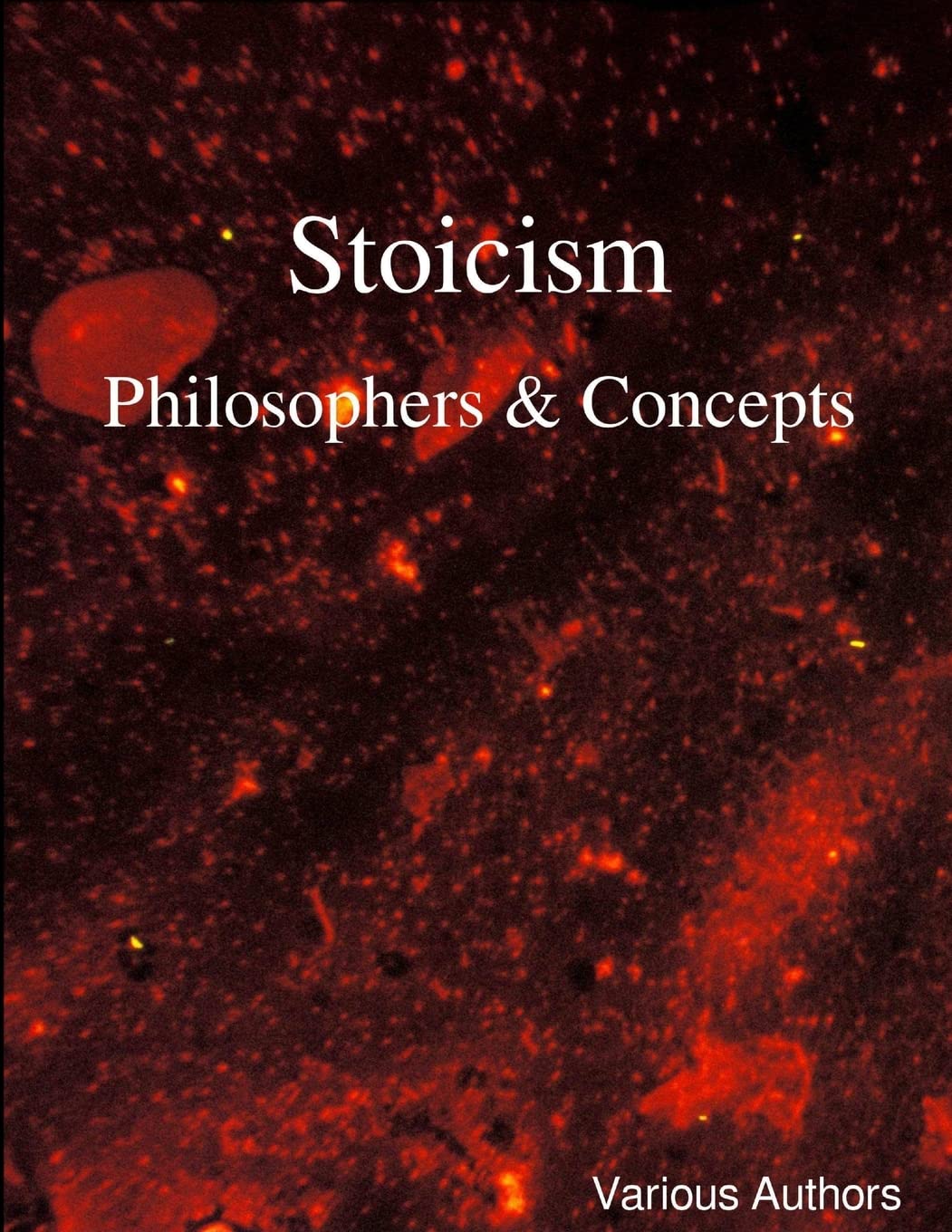 Bild von Authors, Various: Stoicism - Philosophers & Concepts