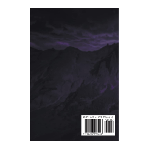 Bild von Persistence of Vision (Interchron, Band 1) von Liesel K. Hill