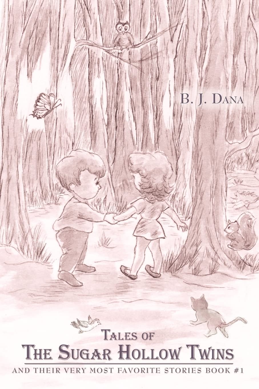 Bild von Tales of The Sugar Hollow Twins: and Their Very Most Favorite Stories Book #1