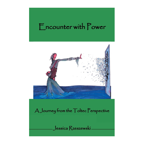 Bild von Encounter with Power: A Journey from the Toltec Perspective