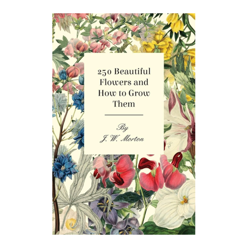 Bild von 250 Beautiful Flowers and How to Grow Them