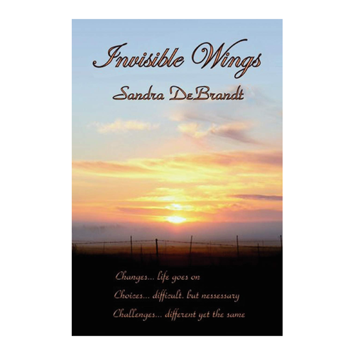 Bild von Debrandt, Sandra: Invisible Wings - Ein fesselndes Leseerlebnis