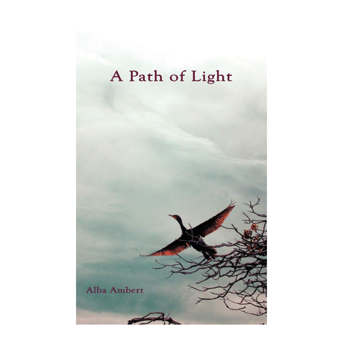 Bild von A Path of Light, Ambert, Alba: A Path of Light