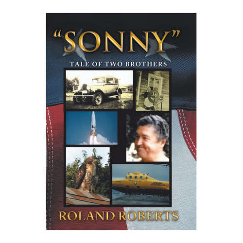 Bild von Sonny: Tale of Two Brothers - Ein bewegendes erzählerisches Werk