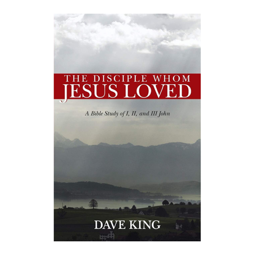Bild von The Disciple Whom Jesus Loved: Ein tiefer Einblick in die biblischen Evangelien