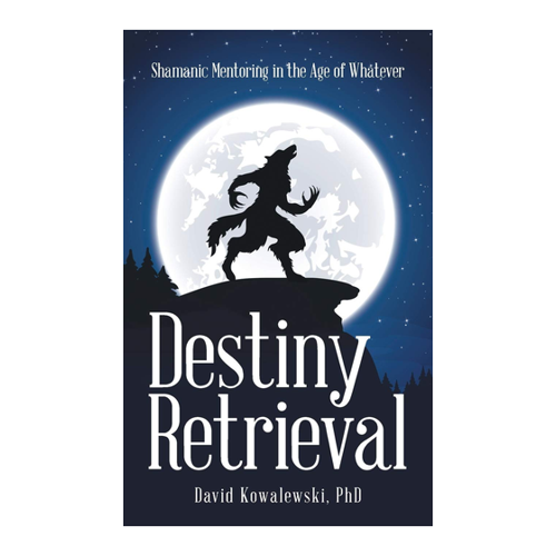 Bild von Destiny Retrieval: Shamanic Mentoring in the Age of Whatever
