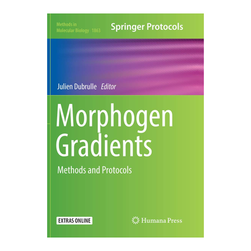 Bild von Morphogen Gradients: Methods and Protocols (Methods in Molecular Biology, Band 1863)