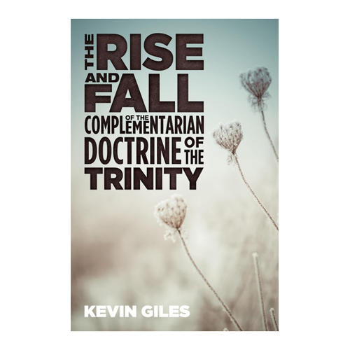 Bild von The Rise and Fall of the Complementarian Doctrine of the Trinity