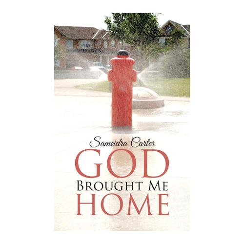 Bild von God Brought Me Home von Sameidra Carter