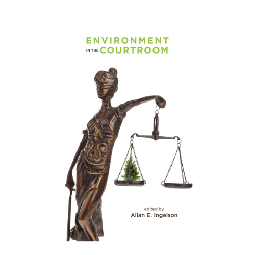 Bild von Environment in the Courtroom