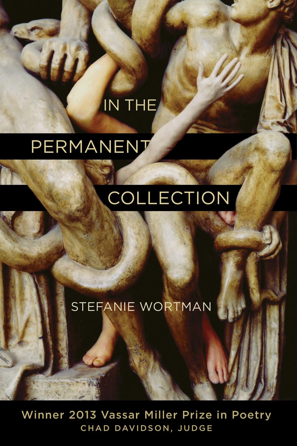 Bild von In the Permanent Collection (Vassar Miller Prize in Poetry, Band 21)