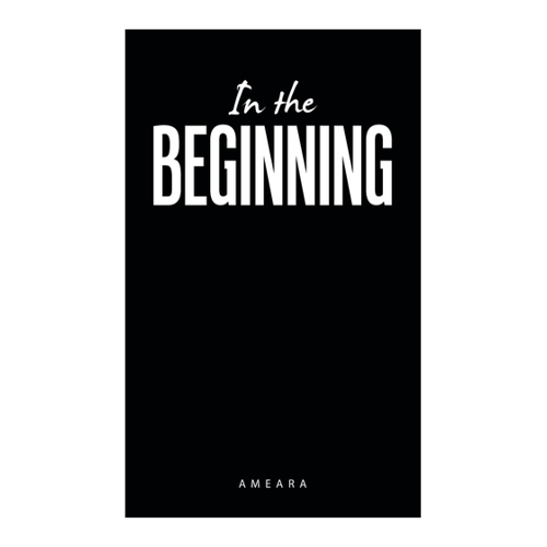 Bild von In the Beginning von Ameara – Ein Überblick