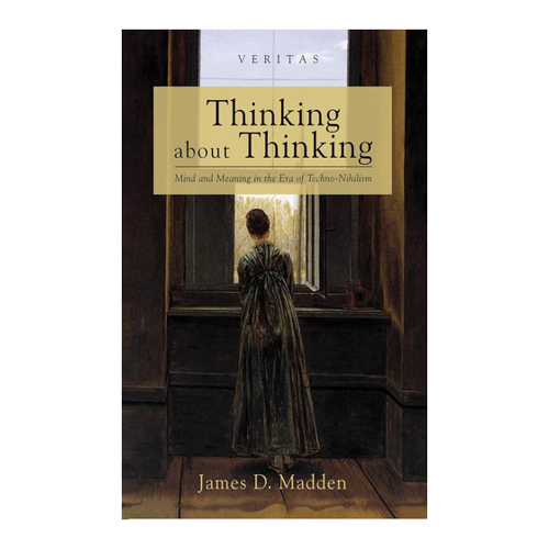 Bild von Thinking about Thinking: Mind and Meaning in the Era of Techno-Nihilism