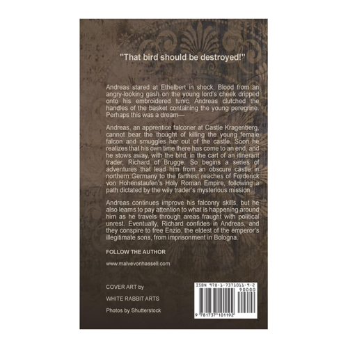 Bild von The Falconer's Apprentice – Ein historischer Roman für Jugendliche