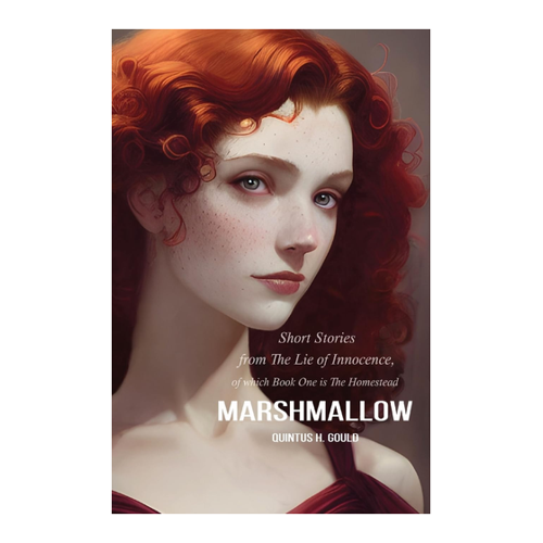 Bild von Marshmallow: Short Stories from The Lie of Innocence