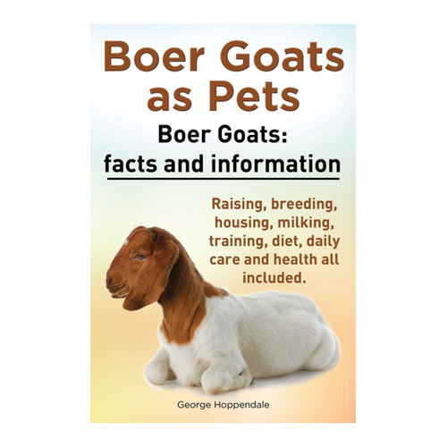 Bild von Boer Goats as Pets – Ein umfassender Leitfaden für die Haltung von Boer-Ziegen