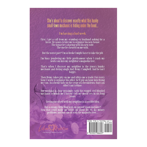 Bild von Filthy Little Midlife Fling – Ein unterhaltsamer Roman von Lilian Monroe