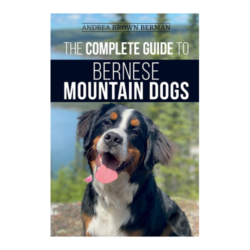 Bild von The Complete Guide to Bernese Mountain Dogs