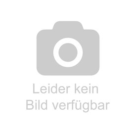 Bild von Begovic, Jana: Dragonfly Slayer