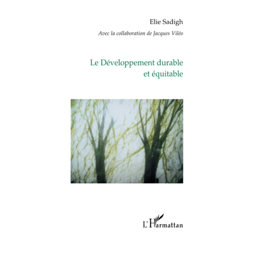 Bild von Le développement durable et équitable – Ein tiefgehender Einblick