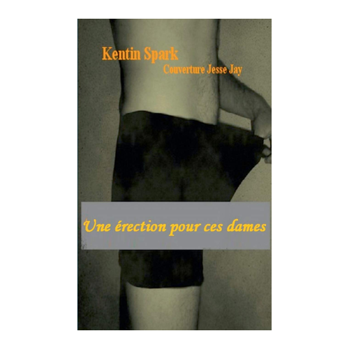 Bild von Une érection pour ces dames - Ein einzigartiges literarisches Werk