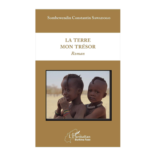 Bild von La terre mon trésor: Roman von Sombewendin Constantin Sawadogo