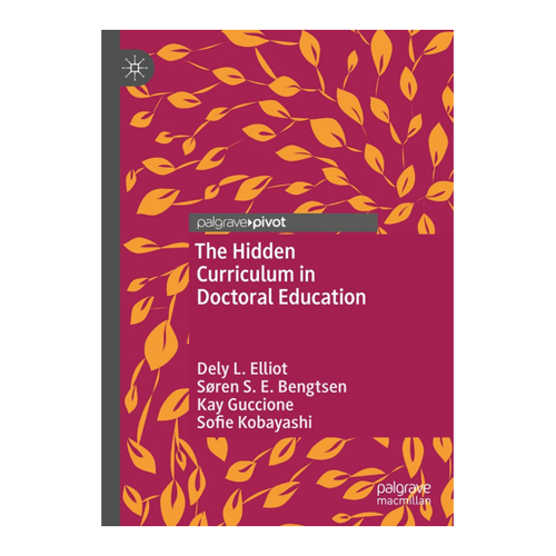 Bild von The Hidden Curriculum in Doctoral Education