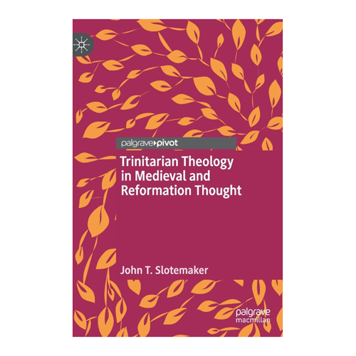 Bild von Trinitarian Theology in Medieval and Reformation Thought – Ein Produkt-Check