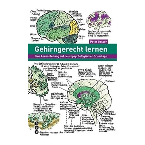 Bild von Gehirngerecht lernen: Eine Lernanleitung auf neuropsychologischer Grundlage