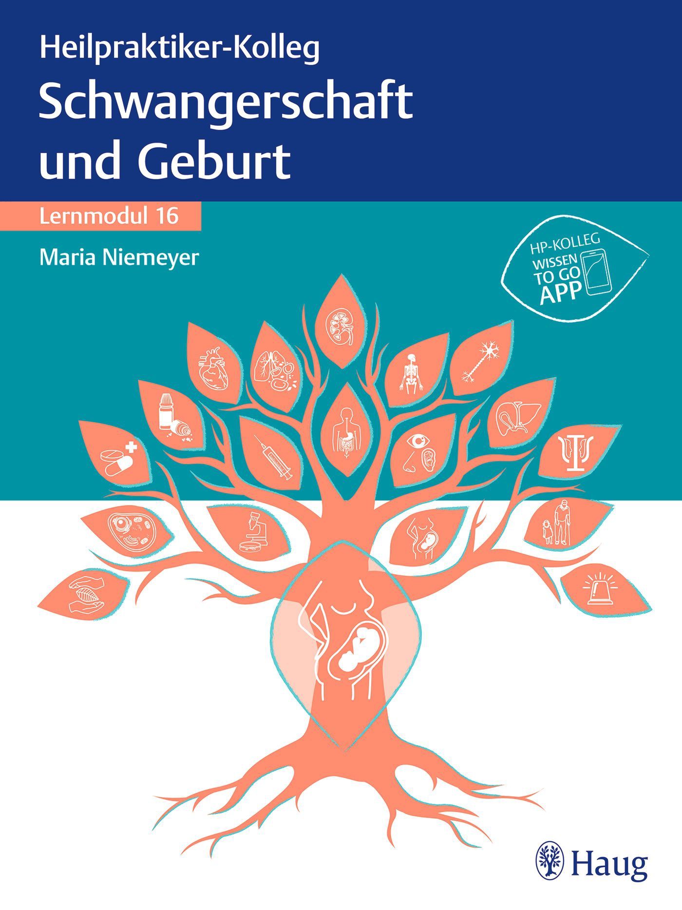Bild von Niemeyer, Maria: Heilpraktiker-Kolleg - Erkrankungen rund um Schwangerschaft und Geburt - Lernmodul 16
