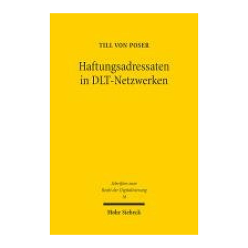 Bild von Haftungsadressaten in DLT-Netzwerken von Till Poser
