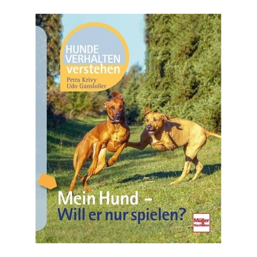 Bild von Mein Hund - Will er nur spielen
