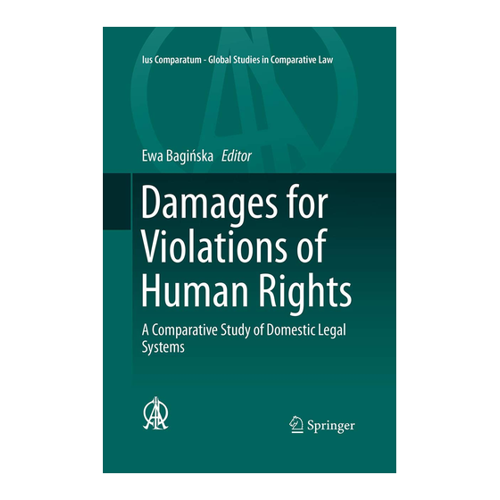 Bild von Damages for Violations of Human Rights: Eine umfassende vergleichende Analyse