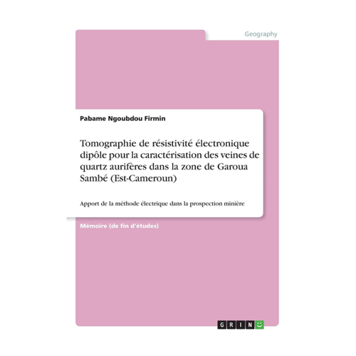 Bild von Tomographie de résistivité électronique dipôle für die Charakterisierung von Quarz-Venen