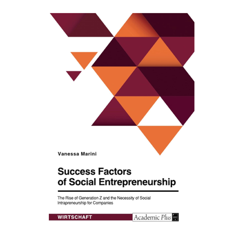 Bild von Success Factors of Social Entrepreneurship: Die Bedeutung von Social Intrapreneurship in der Generation Z