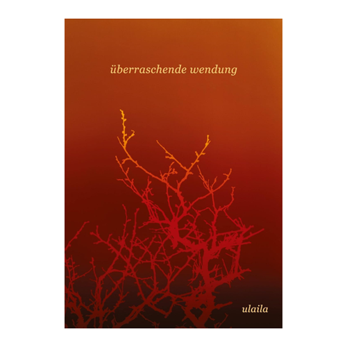 Bild von Überraschende Wendung von Ulaila
