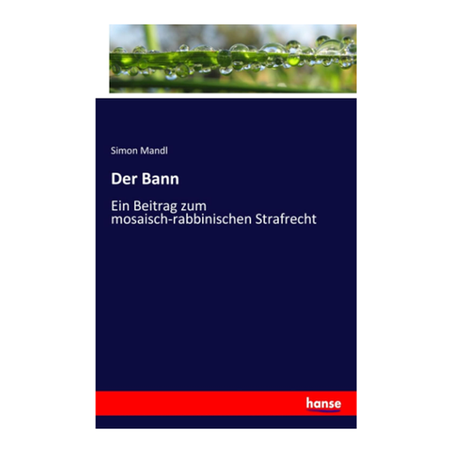 Bild von Der Bann: Ein Beitrag zum mosaisch-rabbinischen Strafrecht
