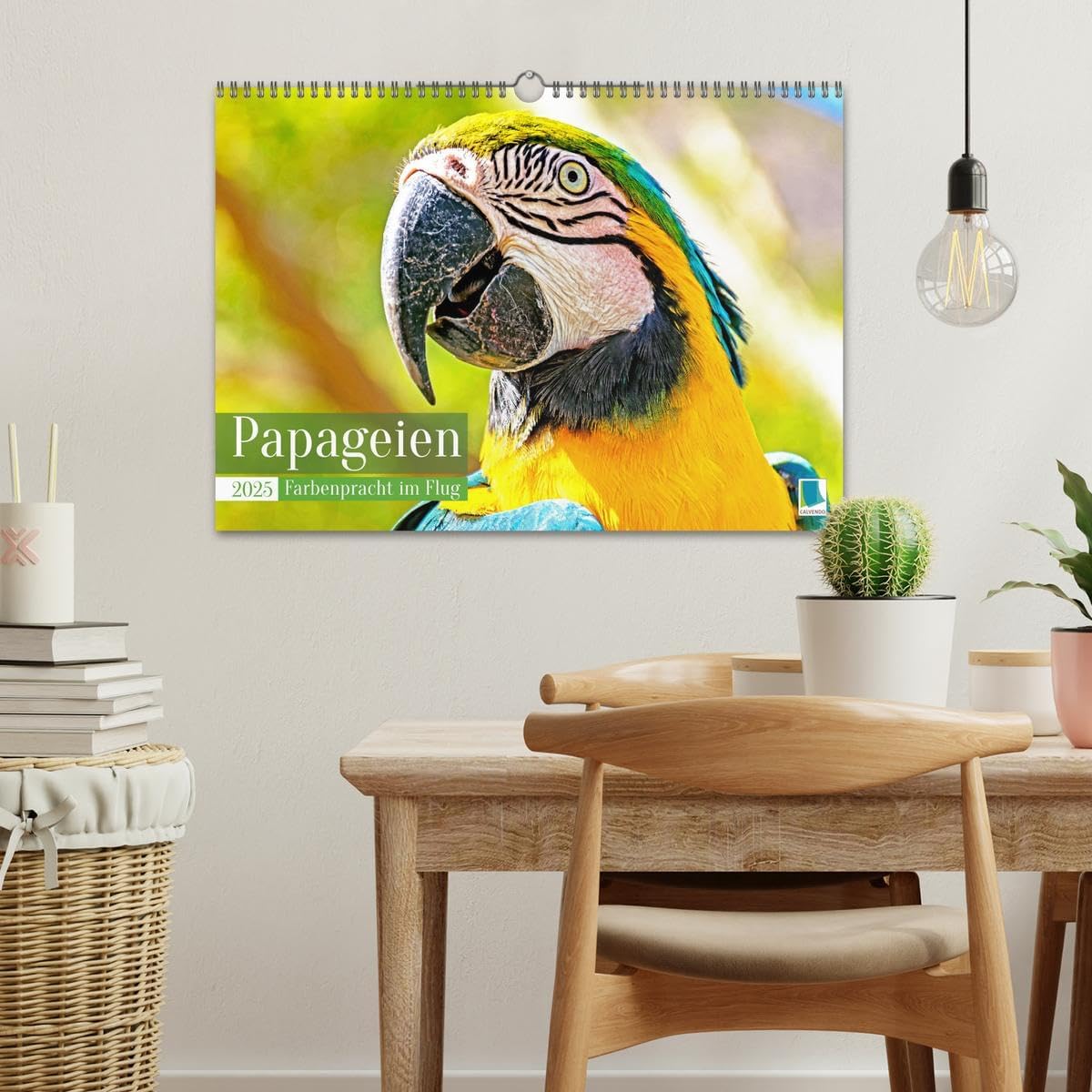 Bild von Calvendo, Calvendo: Papageien: Farbenpracht im Flug (Wandkalender 2025 DIN A3 quer), CALVENDO Monatskalender