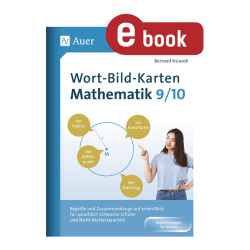 Bild von Wort-Bild-Karten Mathematik Klassen 9-10 im Test