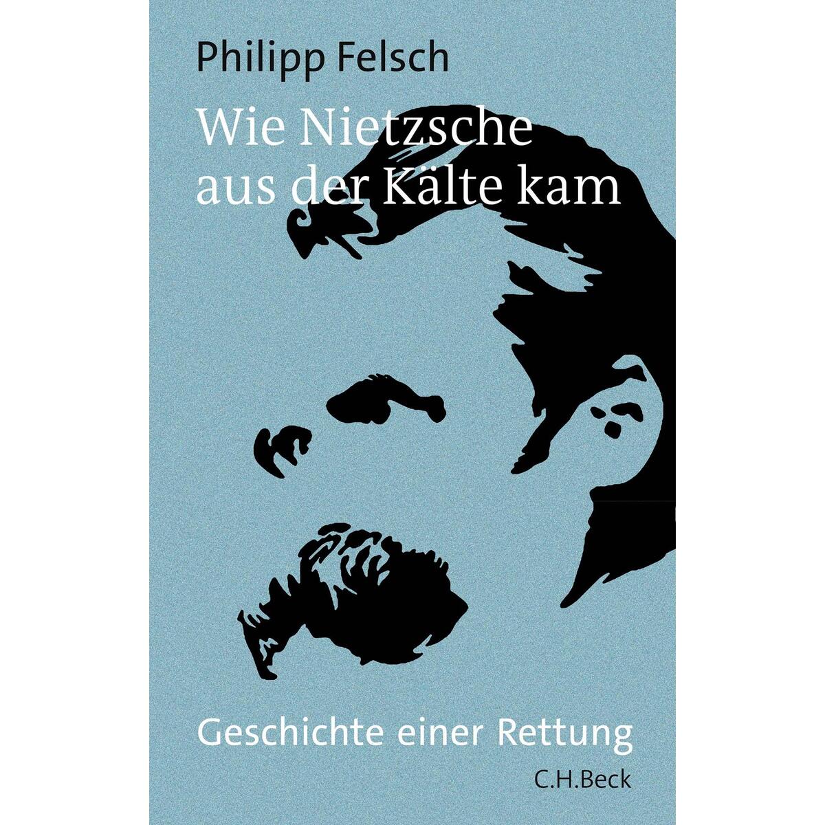 Bild von Wie Nietzsche aus der Kälte kam, Fachbücher von Philipp Felsch