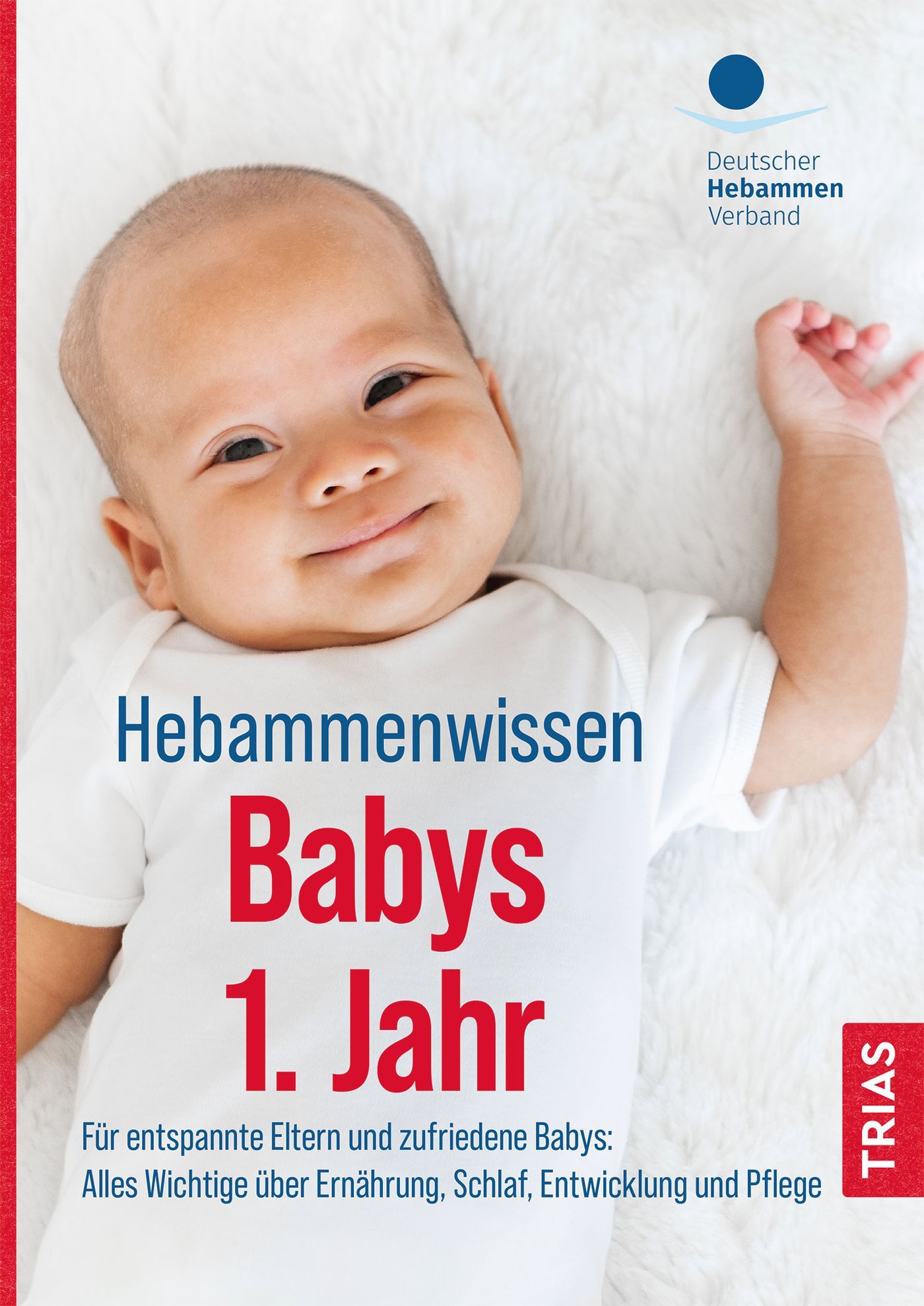 Bild von Hebammenwissen Babys 1. Jahr