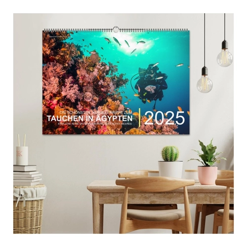 Bild von Die schönsten Korallenriffe zum Tauchen in Ägypten (Wandkalender 2025 DIN A2 quer)