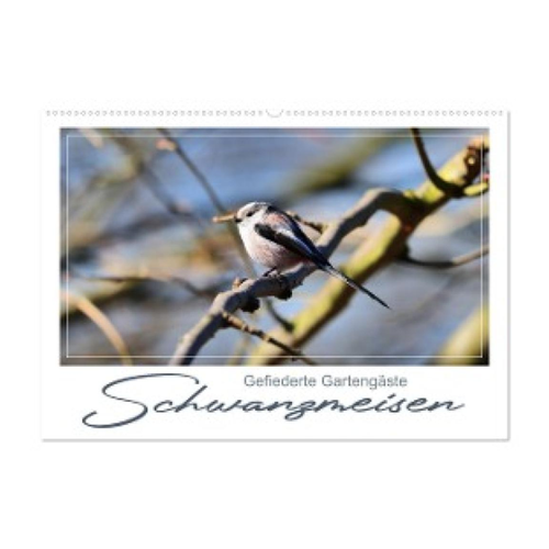 Bild von Gefiederte Gartengäste: Schwanzmeisen (Wandkalender 2025 DIN A2 quer)