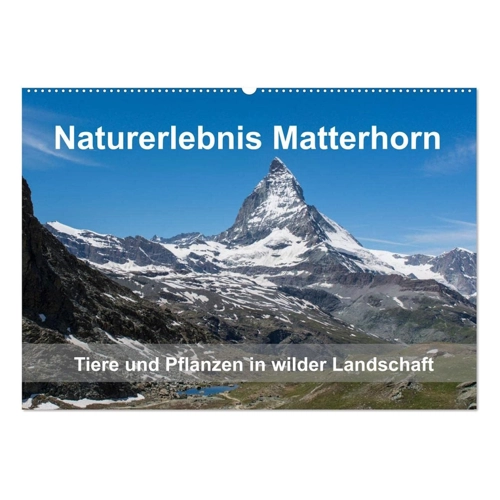 Bild von Naturerlebnis Matterhorn (Wandkalender 2025 DIN A2 quer) von CALVENDO